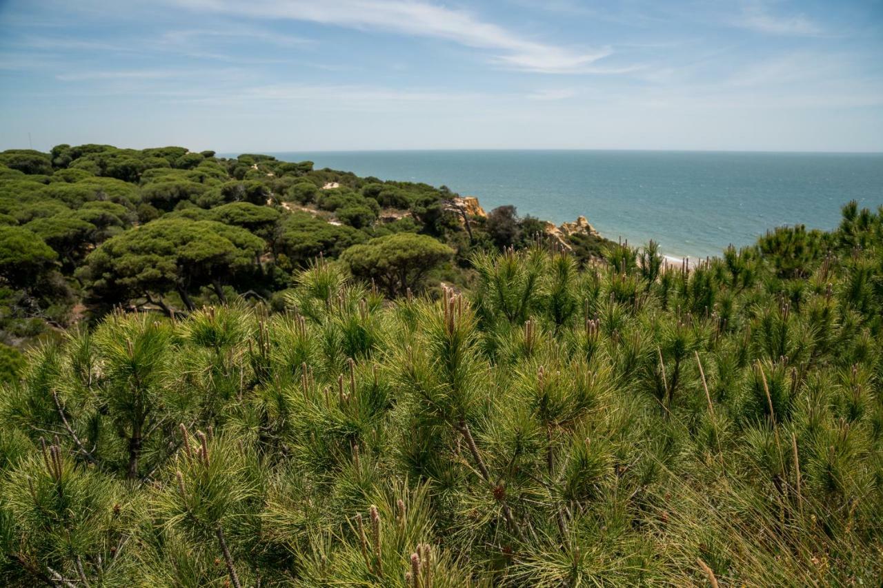 Apartamento Conquistadores Mazagon 2 Hab 4 Pers Max Exteriér fotografie